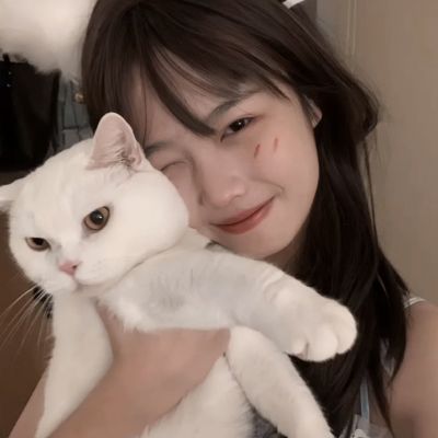 铁血荣耀九游官方版下载