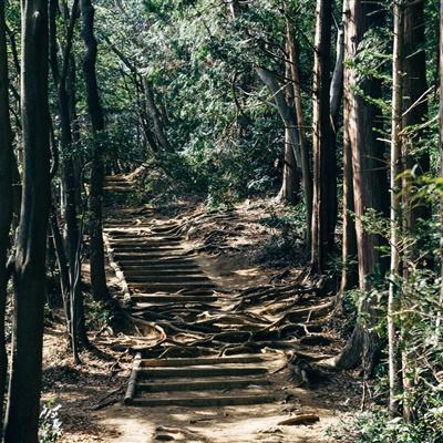 竞技场之战手游下载