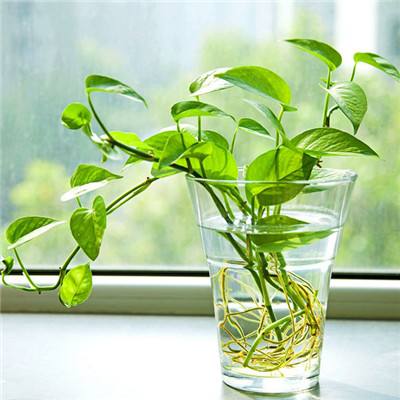 战域狂潮手机版下载